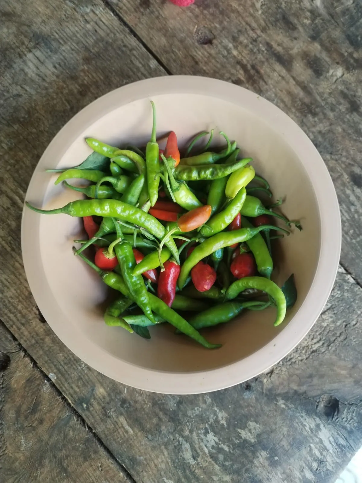 Mix de chiles (kilo)
